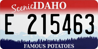 ID license plate E215463
