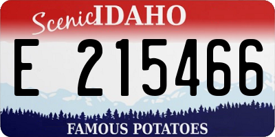 ID license plate E215466