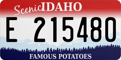ID license plate E215480