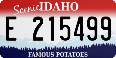 ID license plate E215499