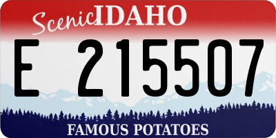 ID license plate E215507