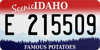 ID license plate E215509