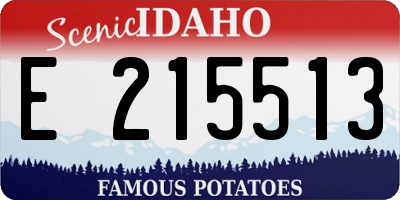 ID license plate E215513
