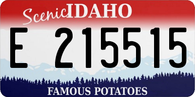 ID license plate E215515