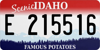 ID license plate E215516