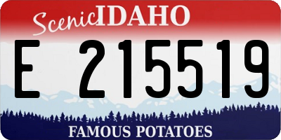 ID license plate E215519