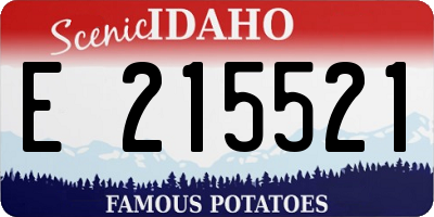 ID license plate E215521