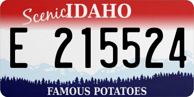 ID license plate E215524