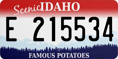 ID license plate E215534