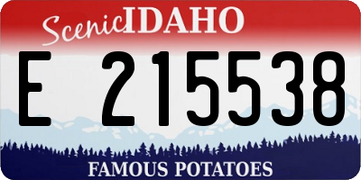 ID license plate E215538
