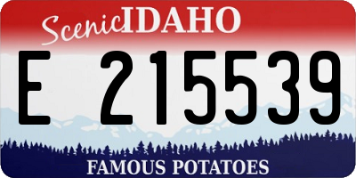 ID license plate E215539