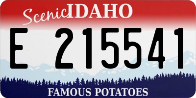 ID license plate E215541