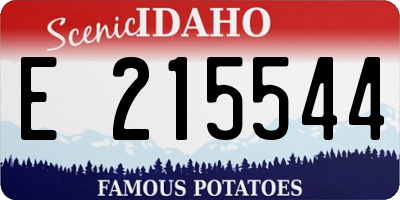 ID license plate E215544