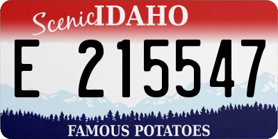 ID license plate E215547