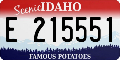 ID license plate E215551