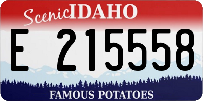 ID license plate E215558