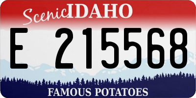 ID license plate E215568