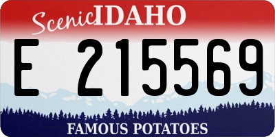 ID license plate E215569