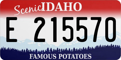 ID license plate E215570