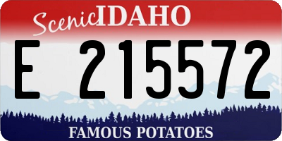 ID license plate E215572