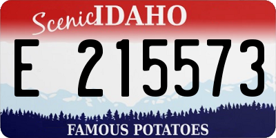 ID license plate E215573