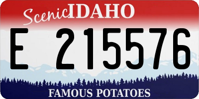 ID license plate E215576