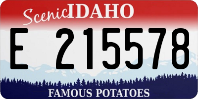 ID license plate E215578