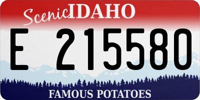 ID license plate E215580