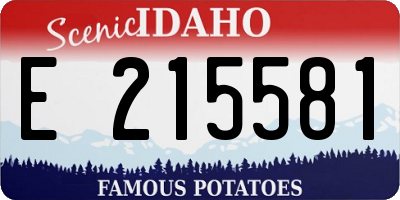 ID license plate E215581