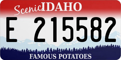 ID license plate E215582