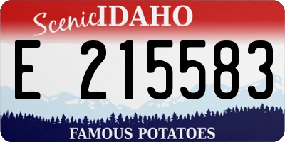 ID license plate E215583