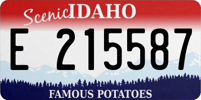 ID license plate E215587