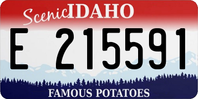 ID license plate E215591
