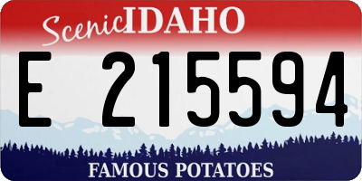 ID license plate E215594