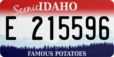 ID license plate E215596