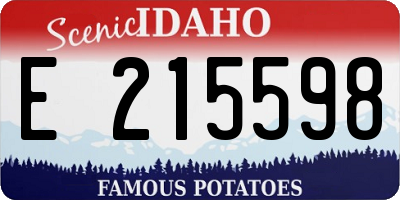 ID license plate E215598