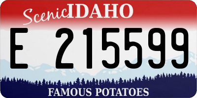 ID license plate E215599