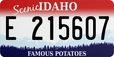 ID license plate E215607