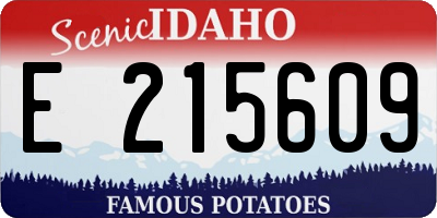ID license plate E215609