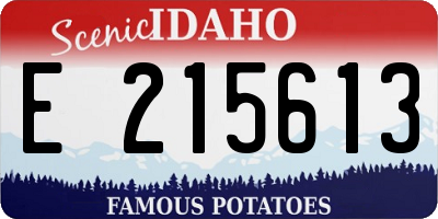 ID license plate E215613