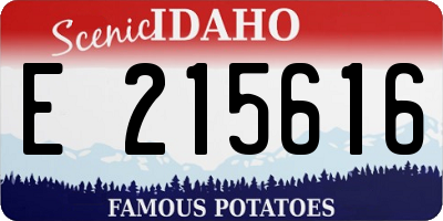 ID license plate E215616