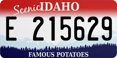 ID license plate E215629