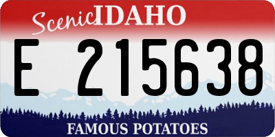 ID license plate E215638