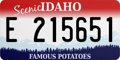 ID license plate E215651