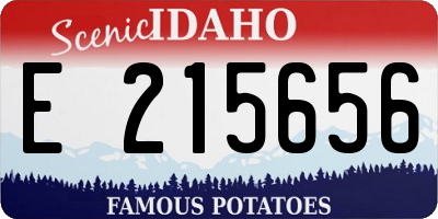 ID license plate E215656