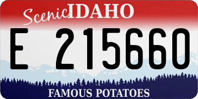 ID license plate E215660