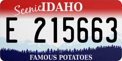 ID license plate E215663