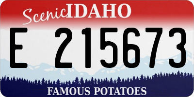 ID license plate E215673