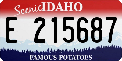 ID license plate E215687
