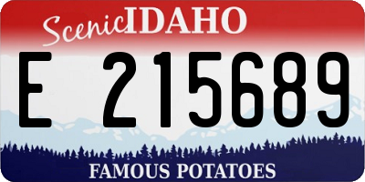 ID license plate E215689